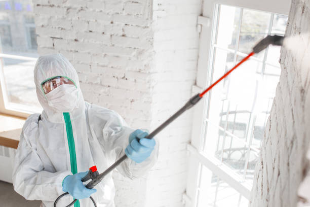 Best HVAC Mold Inspection and Cleaning  in Venus, TX