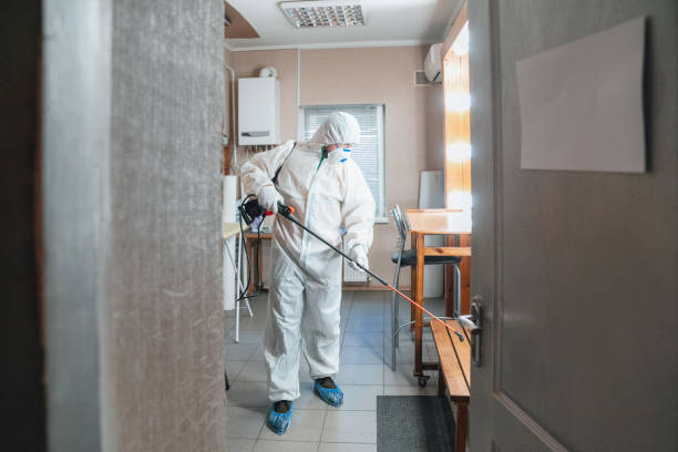 Best Industrial Mold Remediation  in Venus, TX