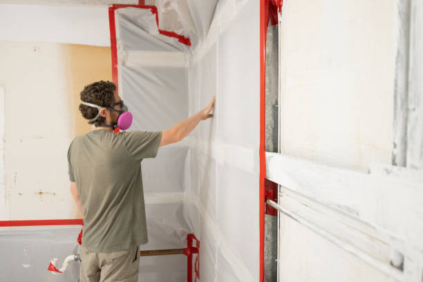 Forensic Mold Investigation in Venus, TX