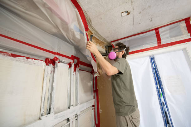 Best Asbestos and Lead Testing During Mold Inspection  in Venus, TX