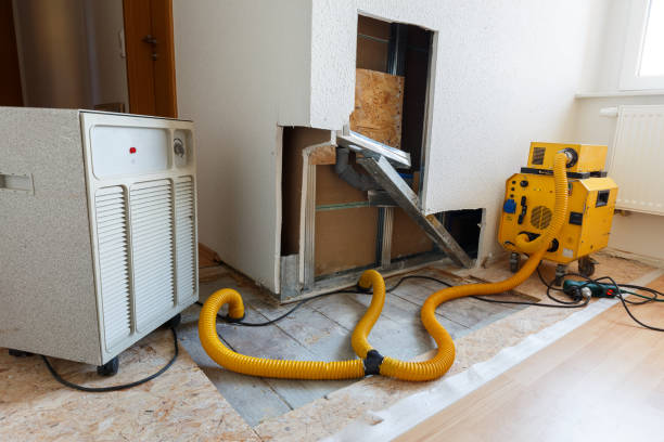 Best Real Estate Mold Inspection  in Venus, TX